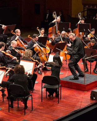 South Florida Symphony Orchestra: Beethoven's Ninth & Grand Opera Arias